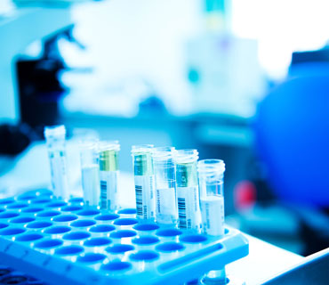 Imaging and diagnostic center support